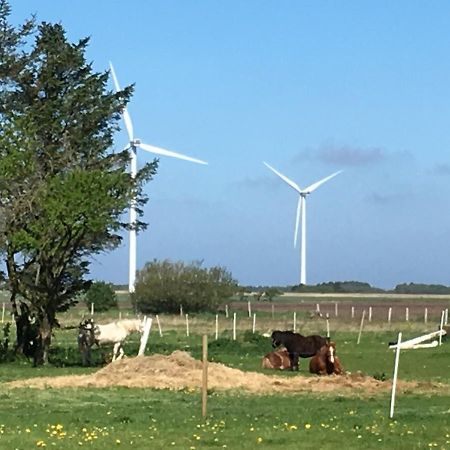 Gaestehuset “Vesterhede” Ringkøbing Eksteriør bilde