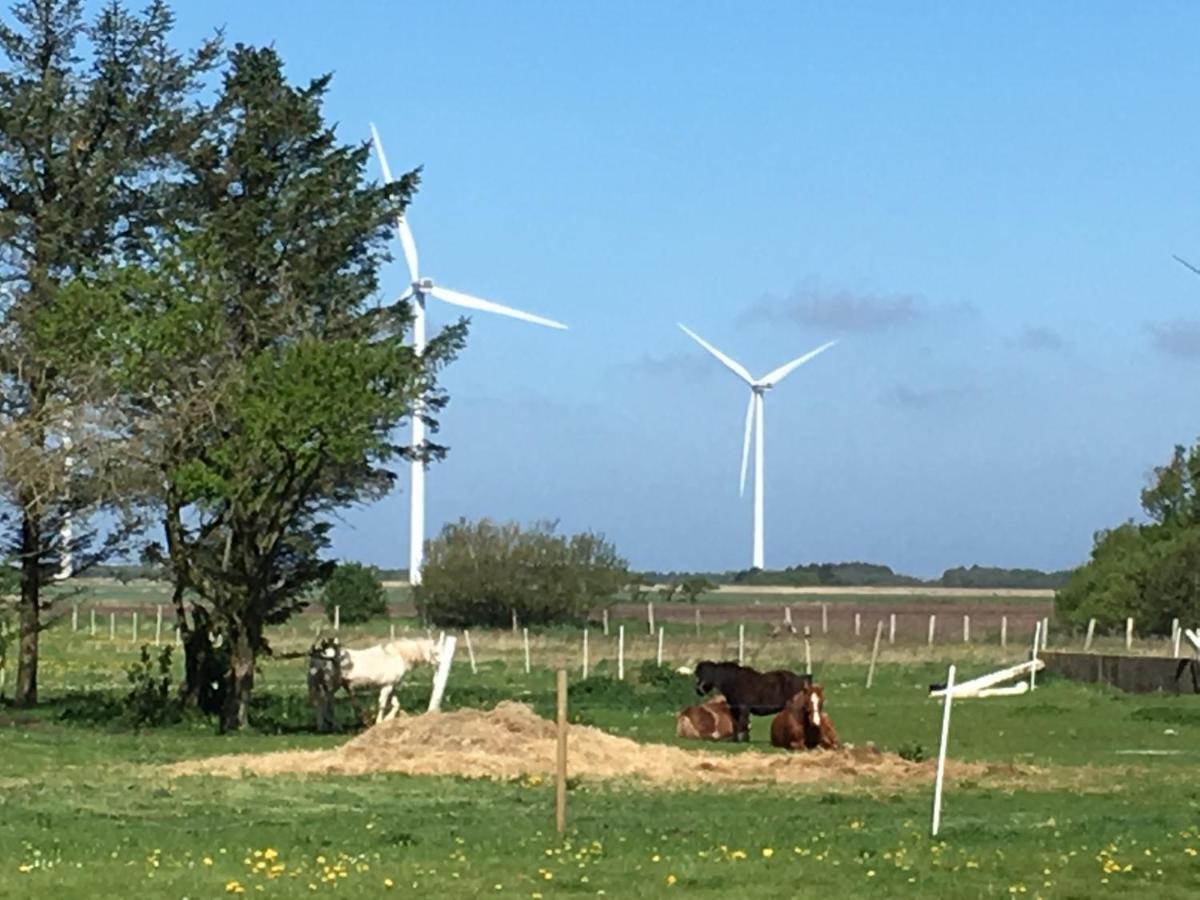 Gaestehuset “Vesterhede” Ringkøbing Eksteriør bilde