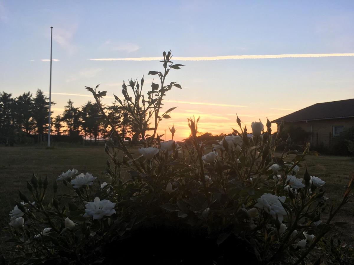 Gaestehuset “Vesterhede” Ringkøbing Eksteriør bilde